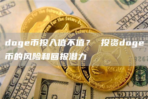 dog币投入值不值？ 投资dog币的风险和回报潜力